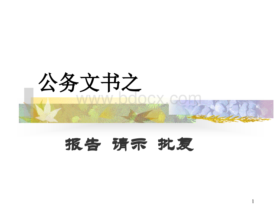 报告、请示、批复(1).ppt_第1页