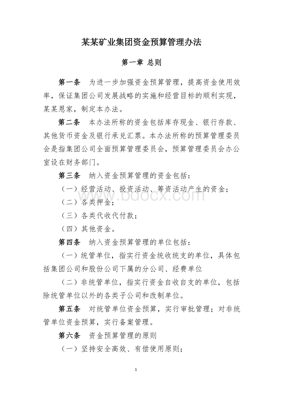 某某矿业集团资金预算管理办法.doc_第1页