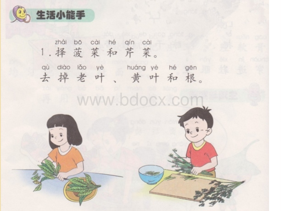 16.学择菜(自做)PPT资料.ppt_第3页