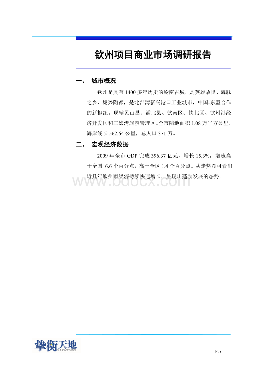 钦州商业市调报告Word格式.doc