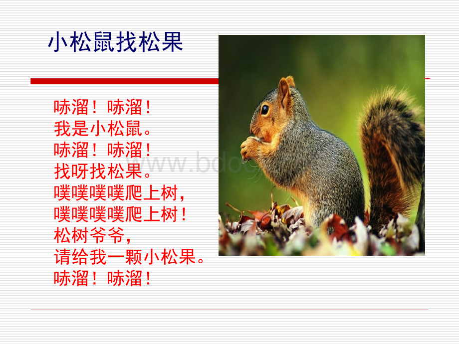 22跑进家来的松鼠.ppt