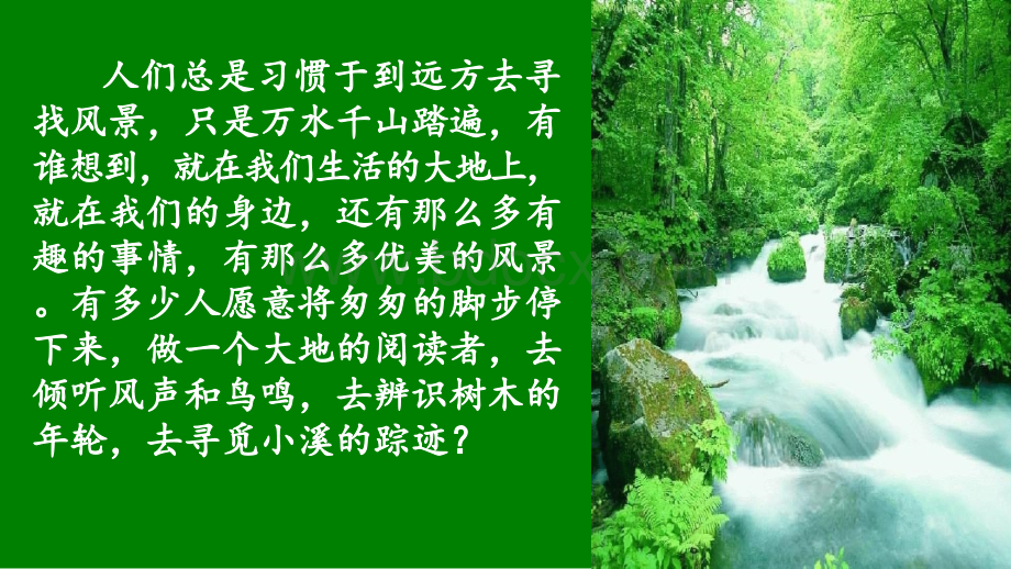 林中小溪.ppt_第1页