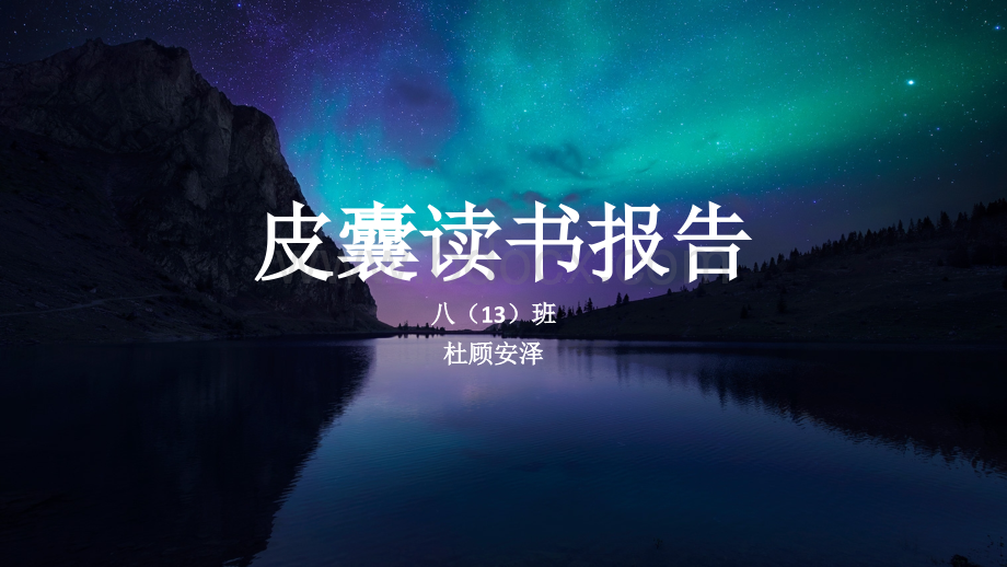 皮囊读书报告.pptx_第1页