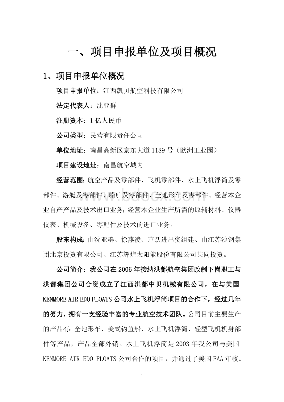 航空产业园项目可行性商业计划书Word文档格式.doc