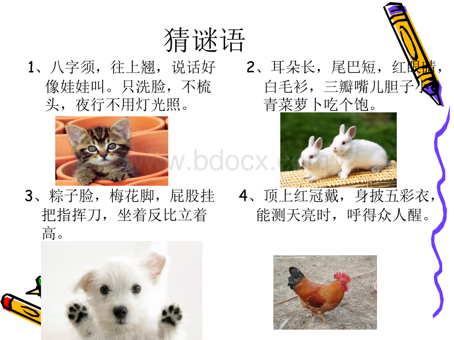 二年级我喜欢的小动物优质PPT.ppt