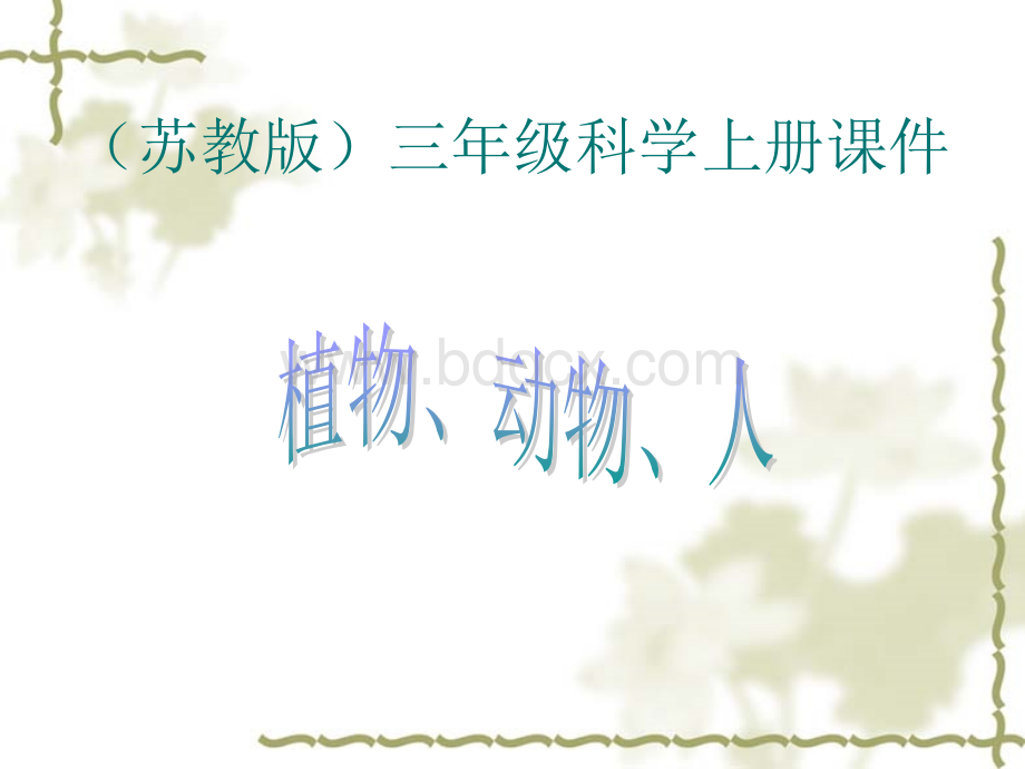 《植物动物人》教学课件.ppt_第1页