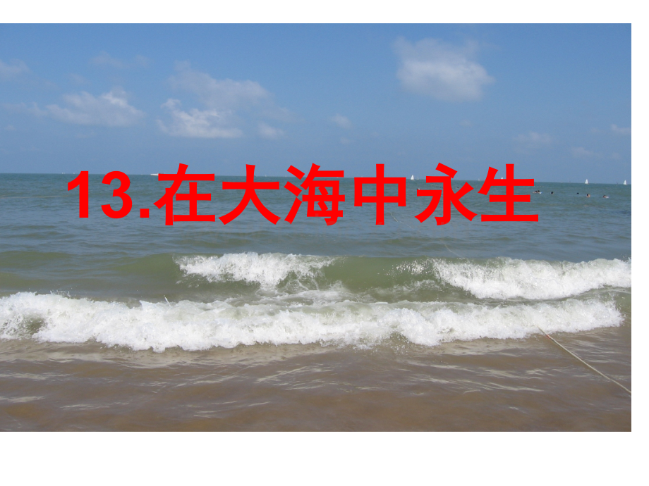 13.在大海中永生ppt.ppt