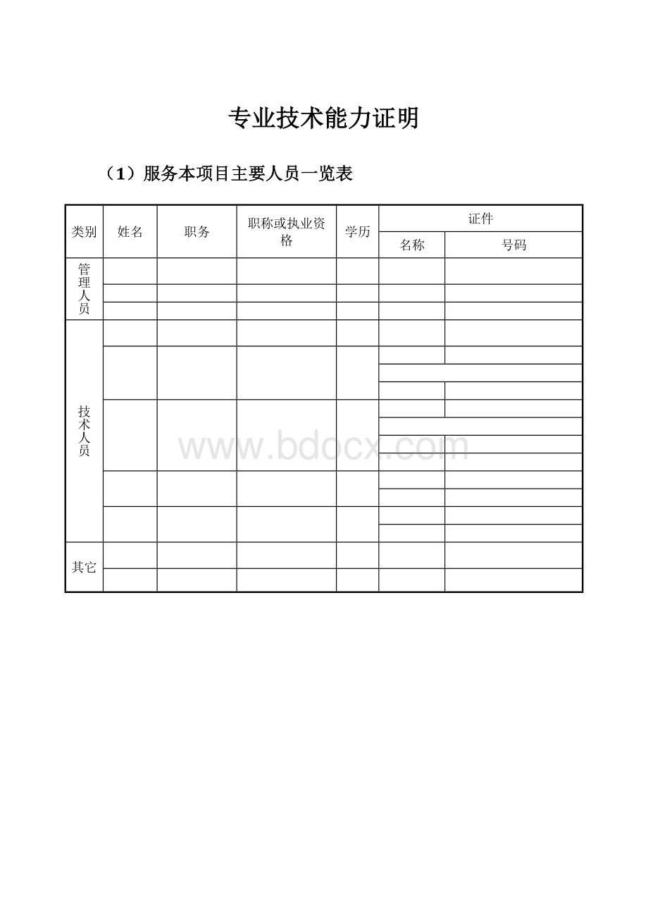 设备和专业技术能力证明文件模板.docx_第1页