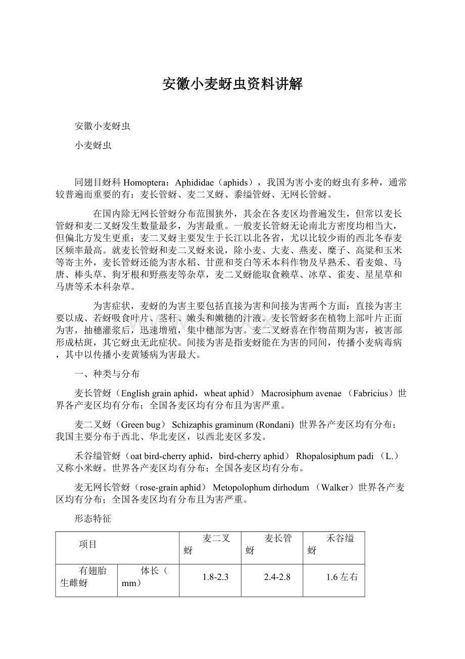 安徽小麦蚜虫资料讲解文档格式.docx_第1页