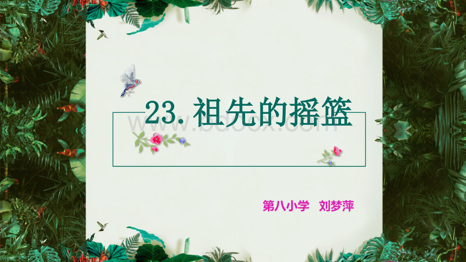 23祖先的摇篮(部编本)pptPPT文档格式.pptx_第1页