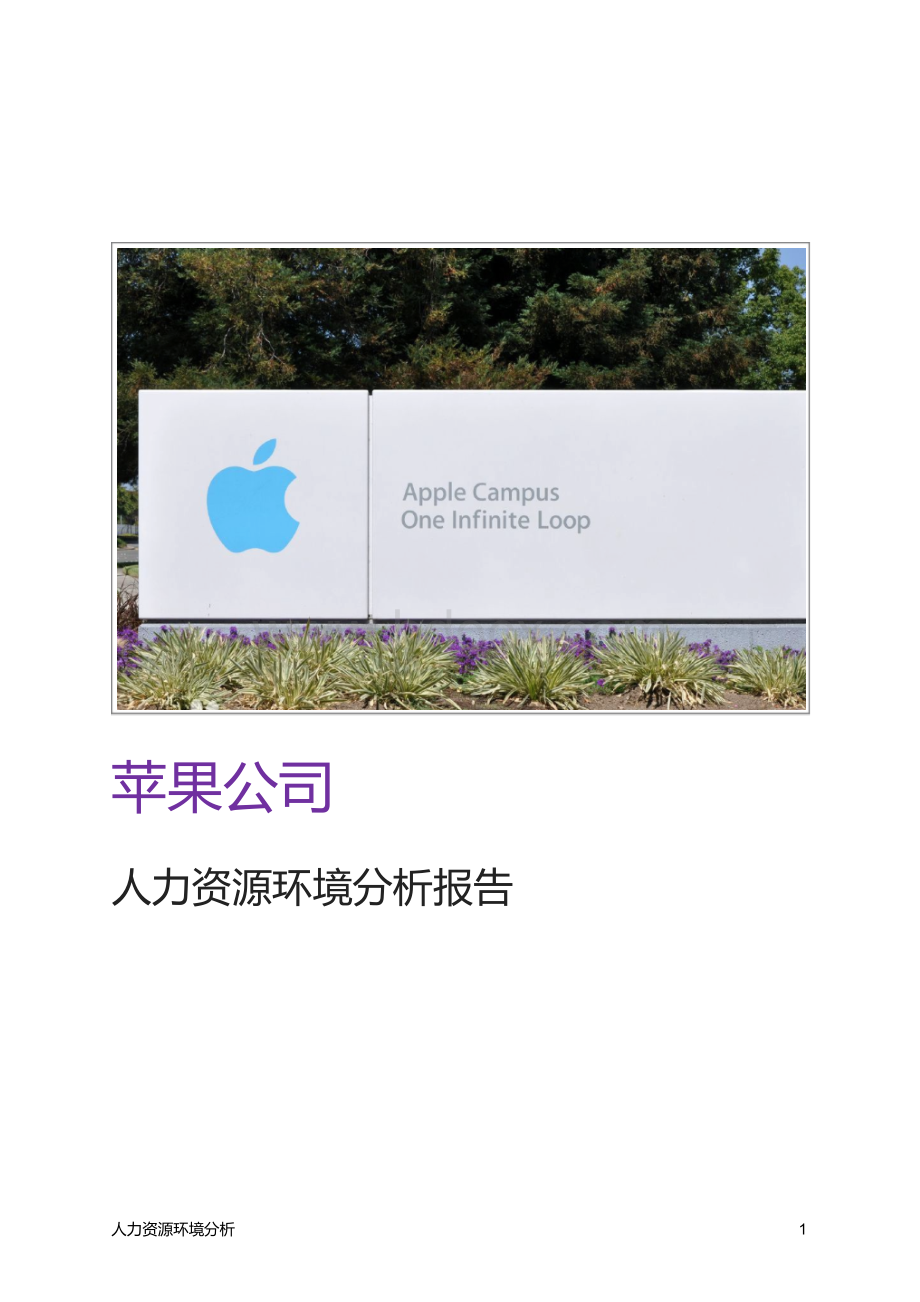 苹果公司人力资源环境分析报告.doc