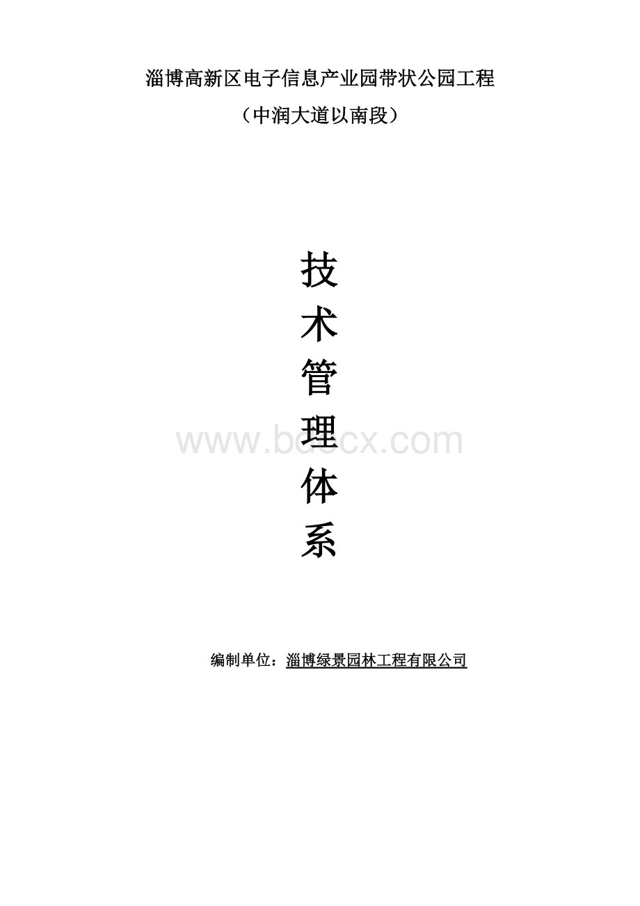 技术管理体系(通用)Word文件下载.doc