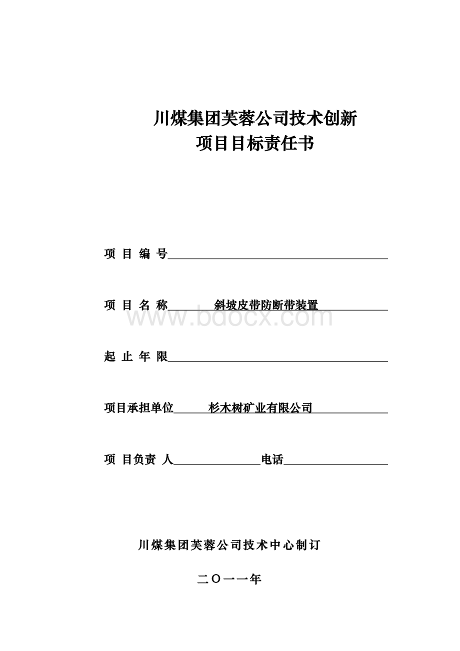 集团公司科技创新项目责任书Word文档下载推荐.doc