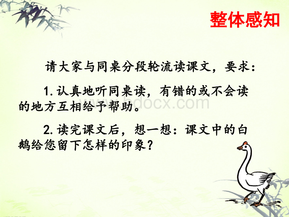 《白鹅》课件1.ppt_第3页