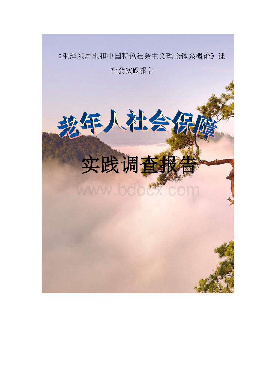 老年人社会保障问题实践调查报告Word格式文档下载.docx_第1页