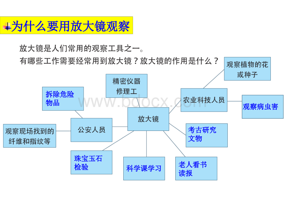 《放大镜》ppt课件PPT文档格式.ppt_第3页