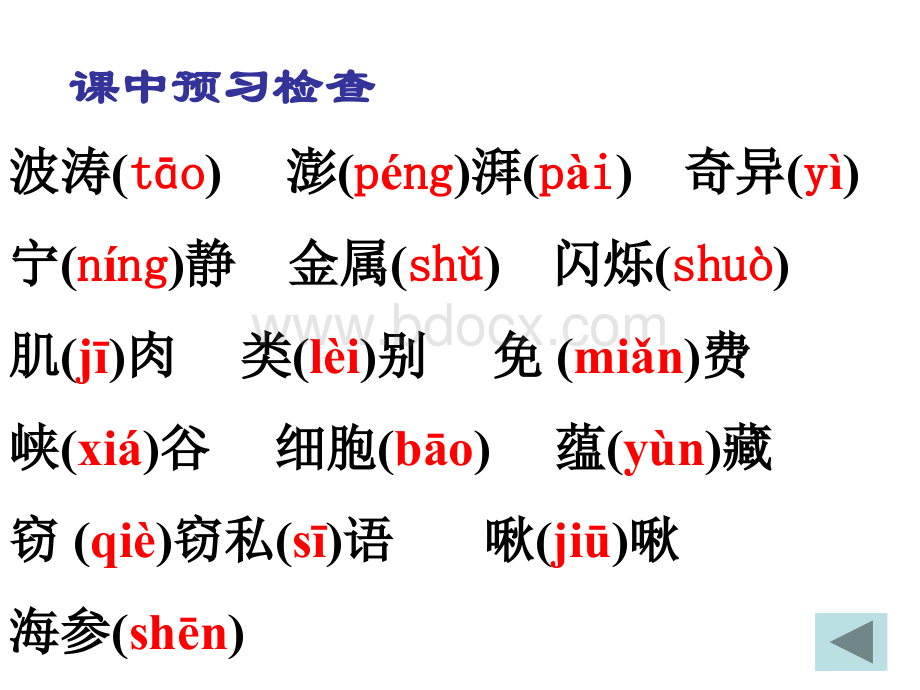 13《海底世界》PPT文档格式.ppt_第2页