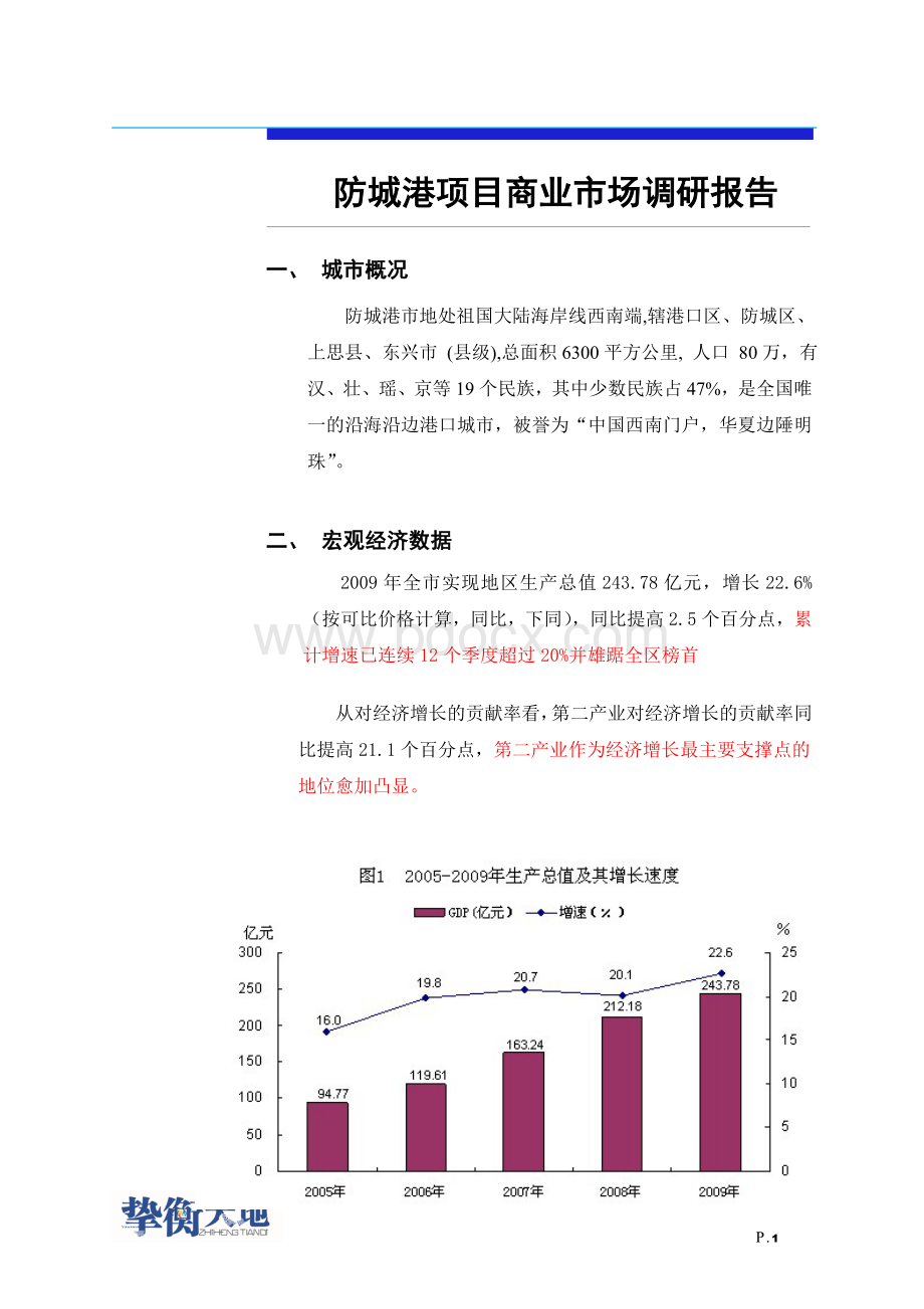 防城港商业市调报告Word格式文档下载.doc_第1页