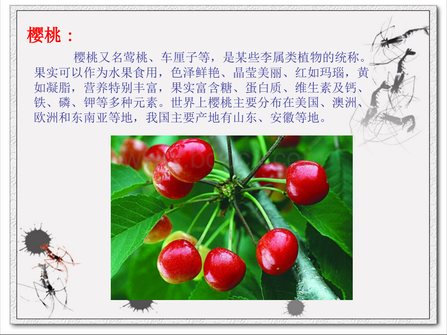 国画《樱桃》的画法PPT.dps资料文档下载_第2页