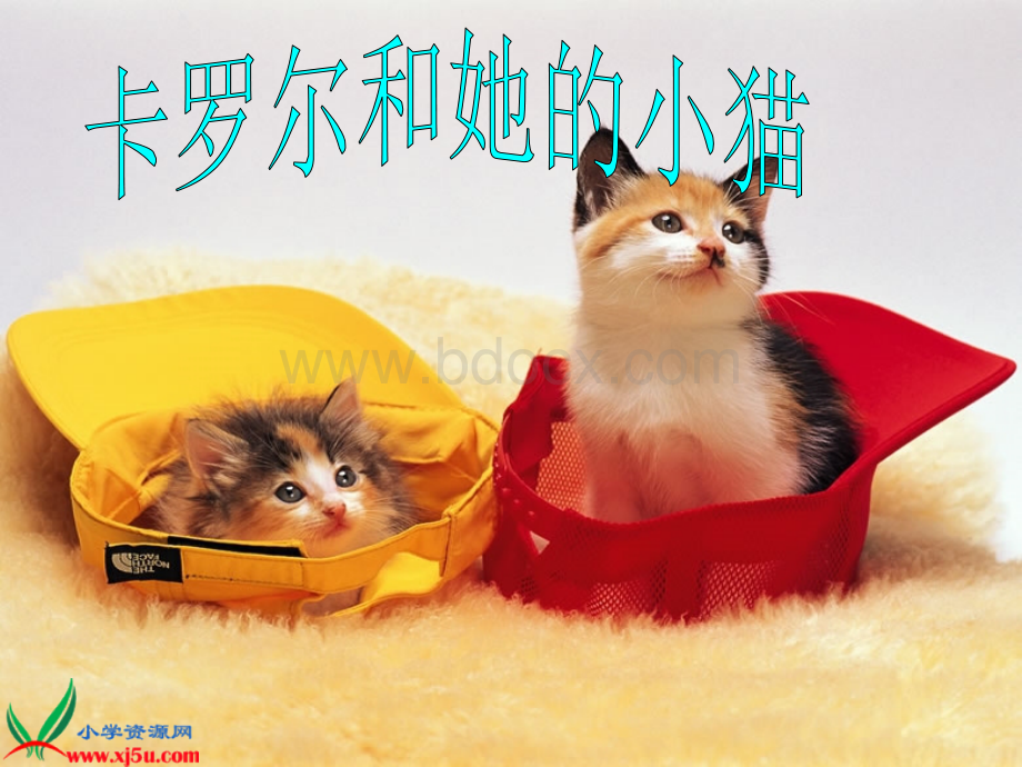 卡罗尔和她的小猫.ppt_第3页