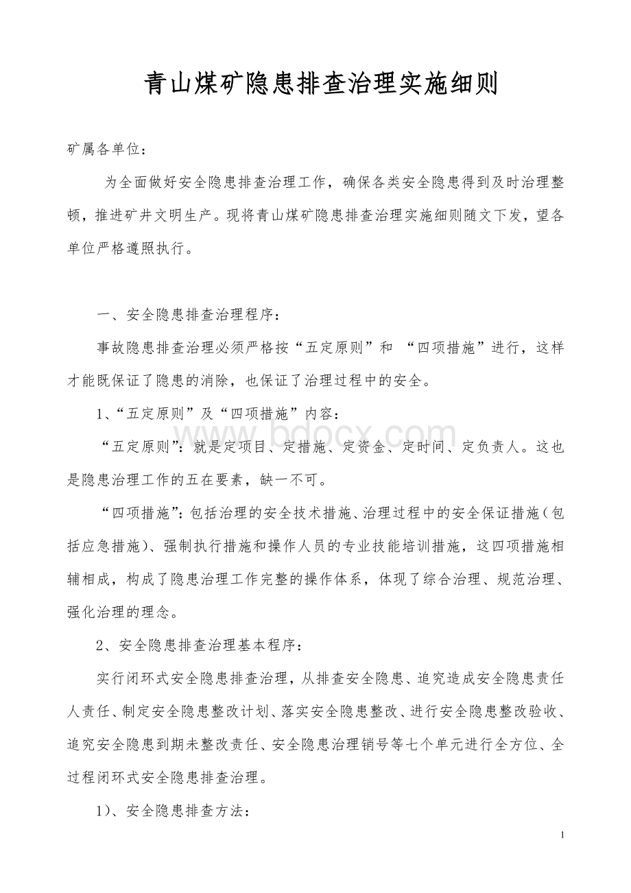 青山煤业公司隐患排查治理实施细则Word下载.doc