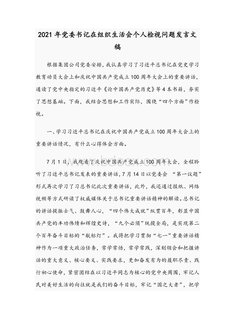 2021年党委书记在组织生活会个人检视问题发言文稿Word格式.docx