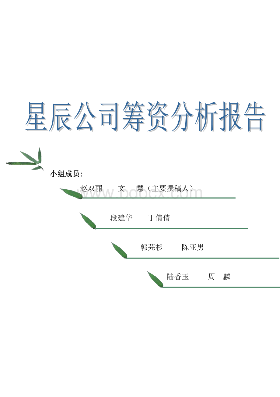 星辰公司筹资分析报告.doc