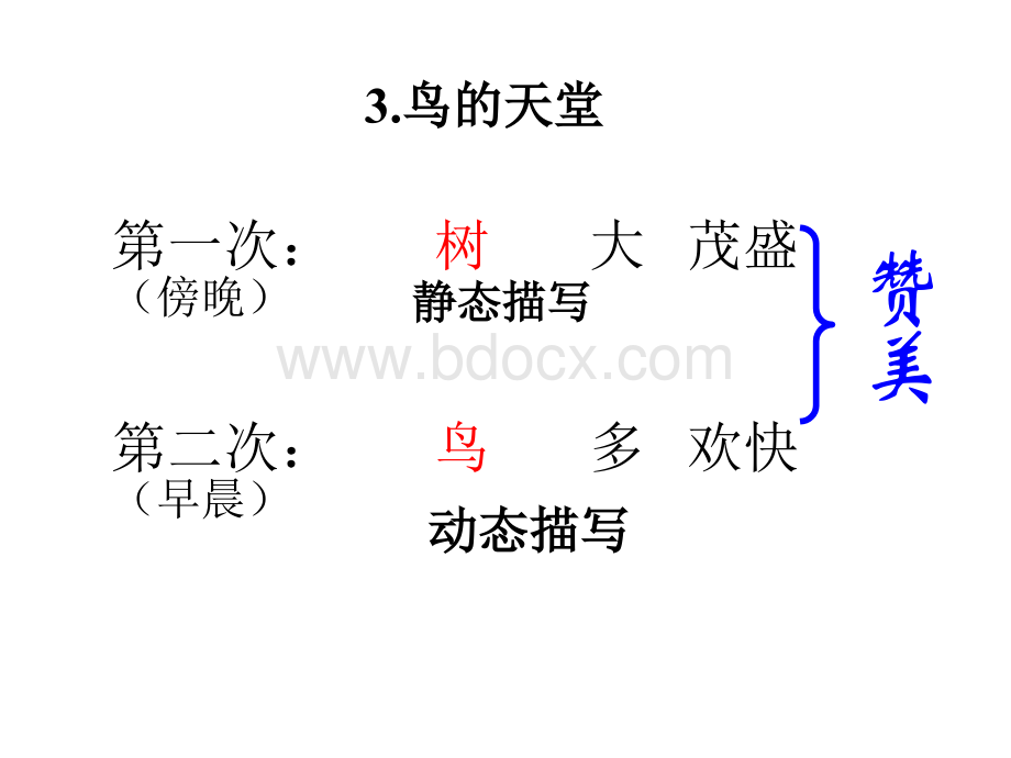 3.鸟的天堂2.ppt_第3页