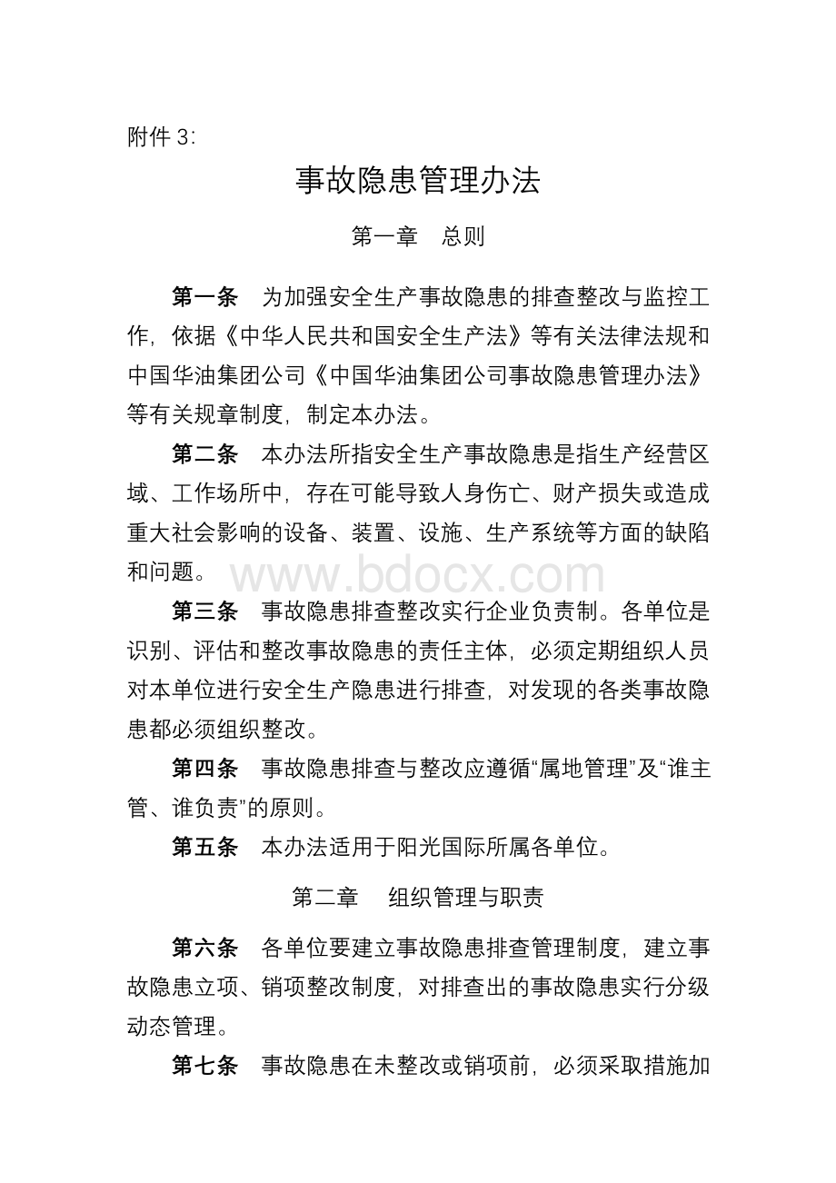 隐患管理办法文档格式.doc