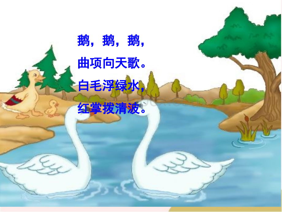 《白鹅》课件PPT课件下载推荐.ppt_第1页