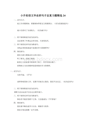 小升初语文毕业班句子总复习题精选24Word文件下载.docx