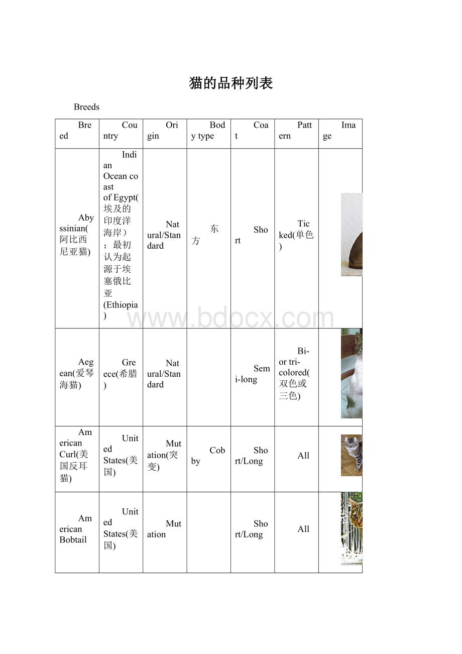 猫的品种列表Word下载.docx_第1页