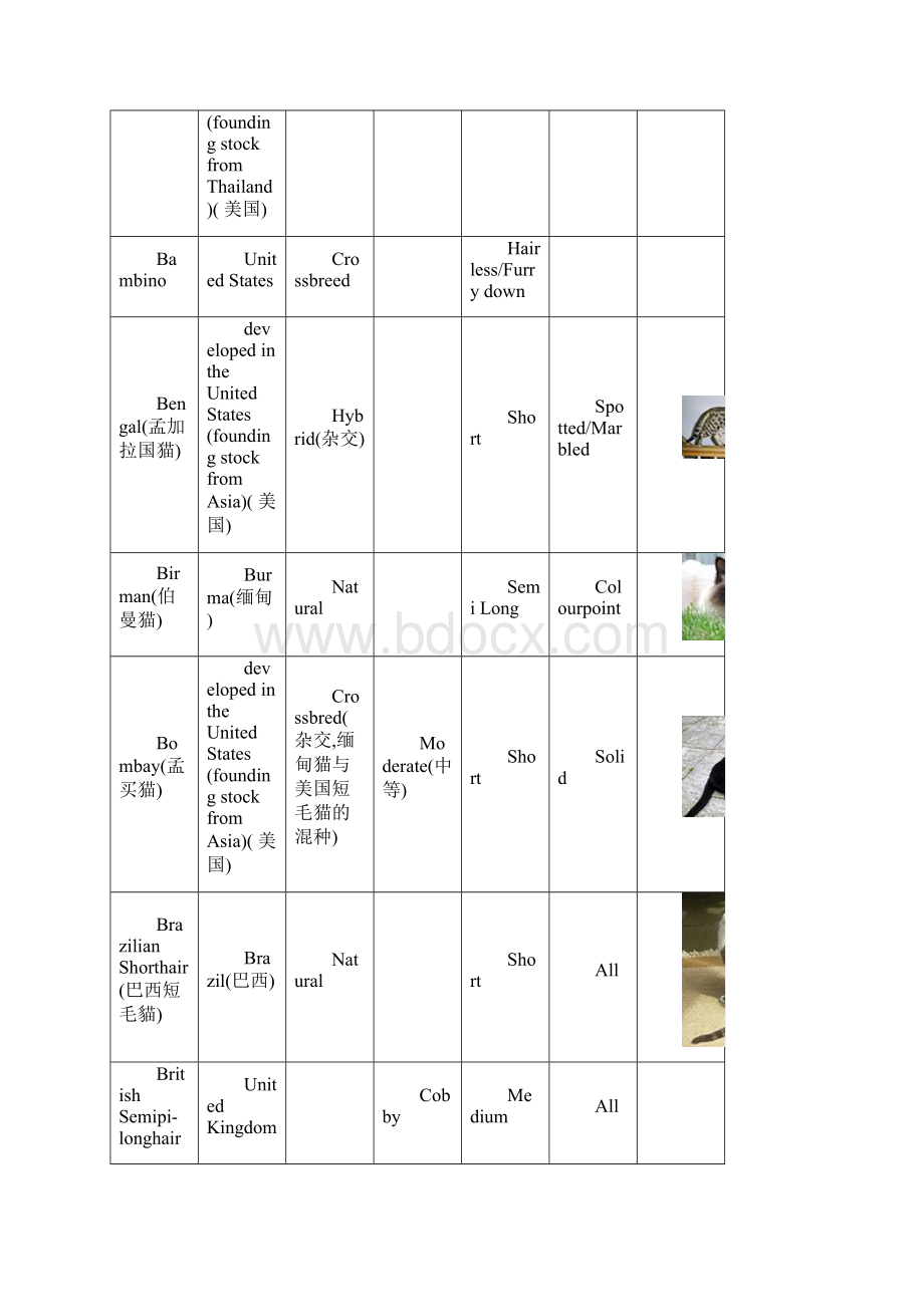 猫的品种列表.docx_第3页