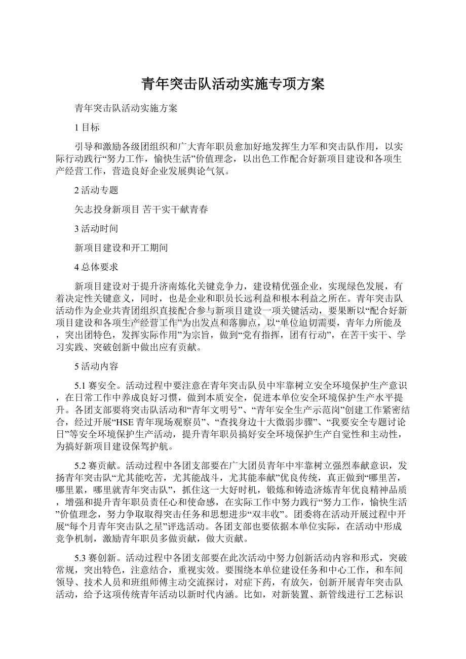 青年突击队活动实施专项方案Word格式文档下载.docx