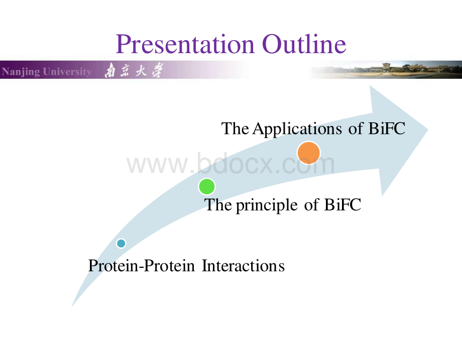 双分子荧光互补技术(BiFC)资料下载.pdf_第2页