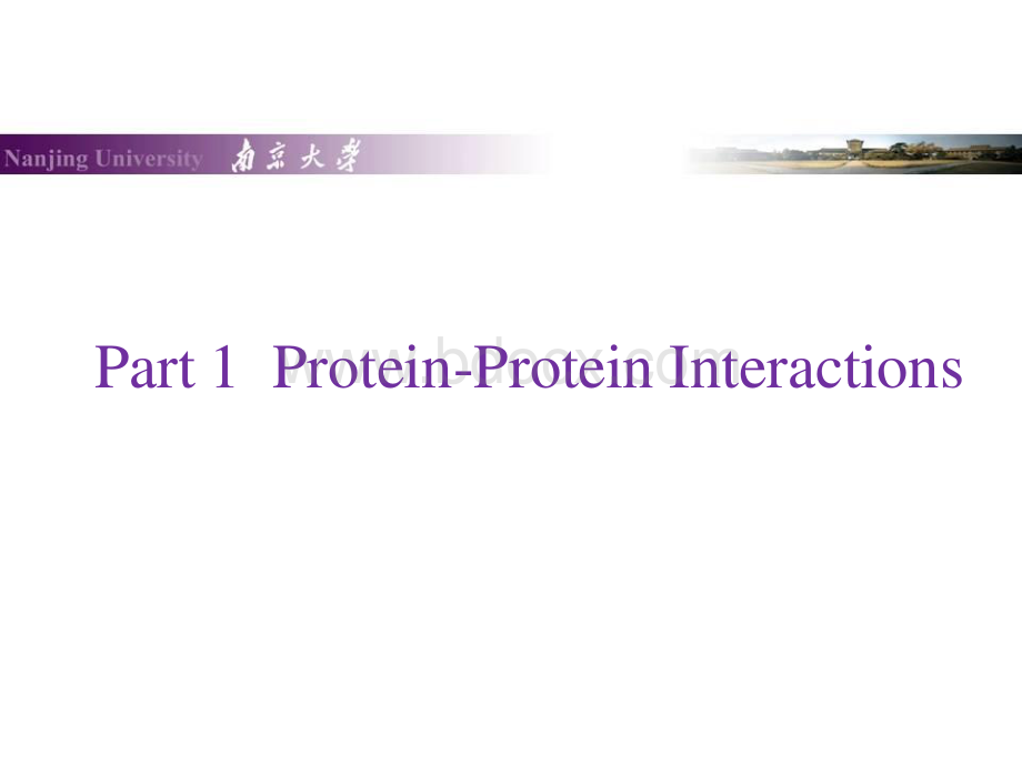 双分子荧光互补技术(BiFC)资料下载.pdf_第3页