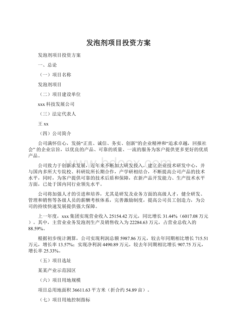 发泡剂项目投资方案Word格式.docx