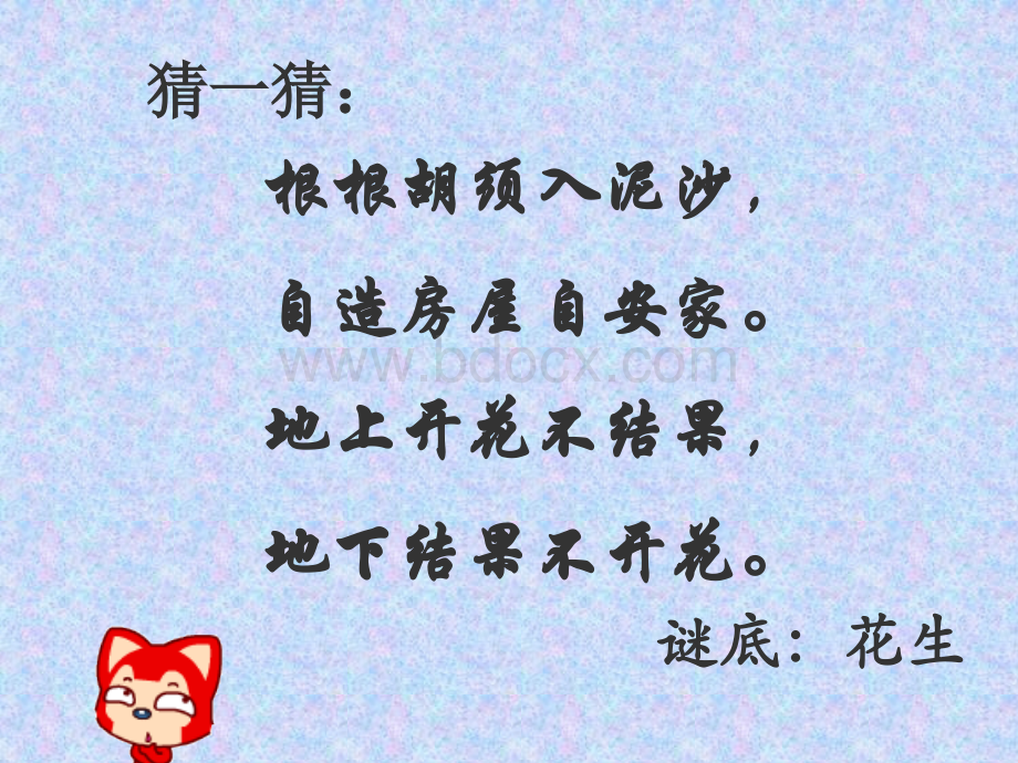 落花生PPT课件(实习生参考).ppt