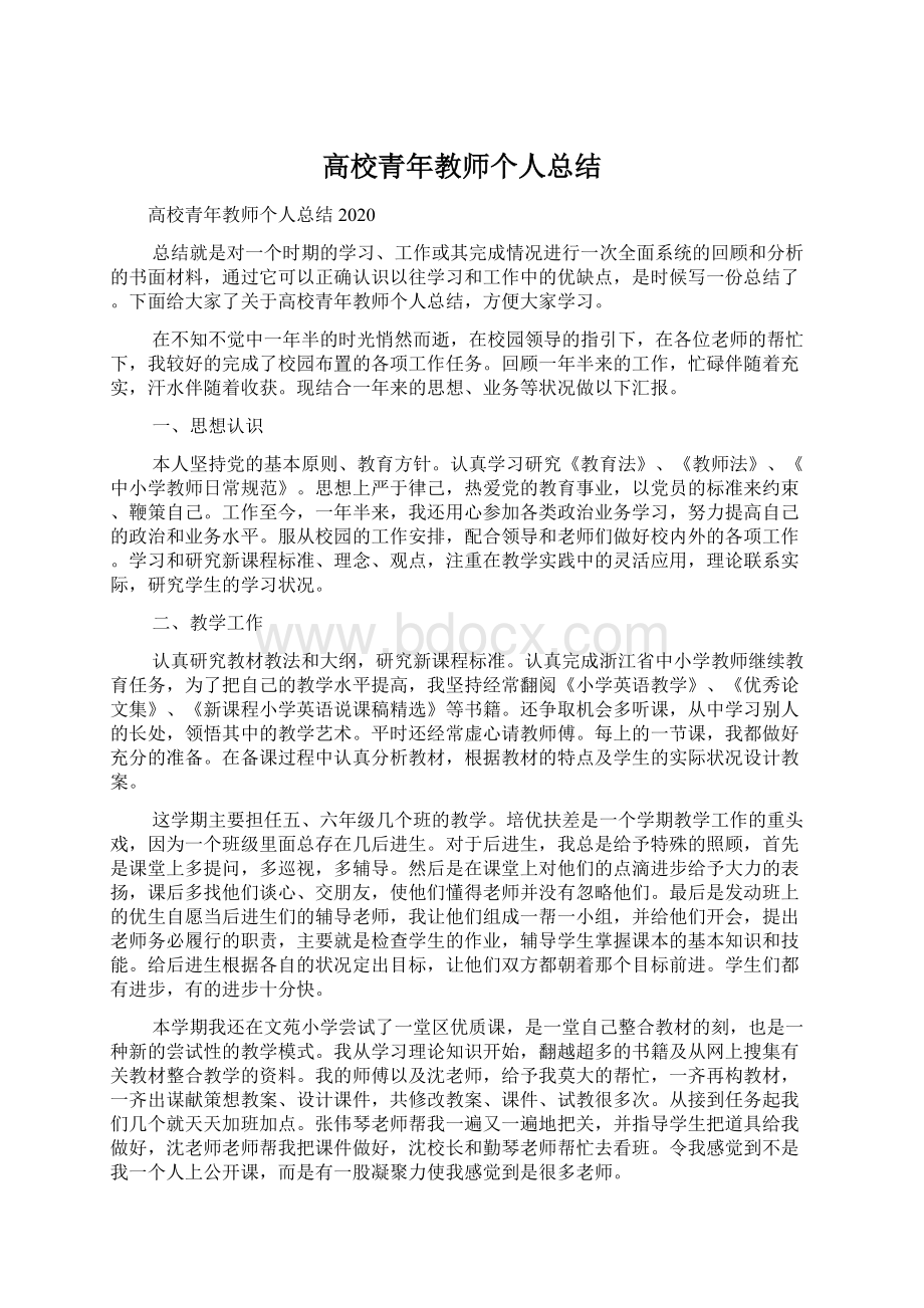 高校青年教师个人总结.docx