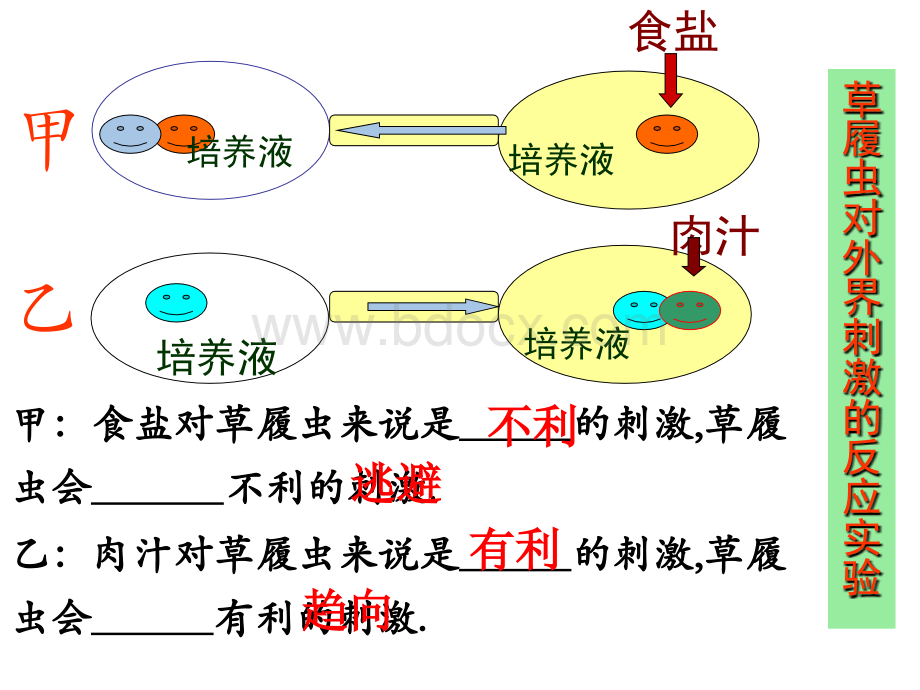 复习课件.ppt_第3页