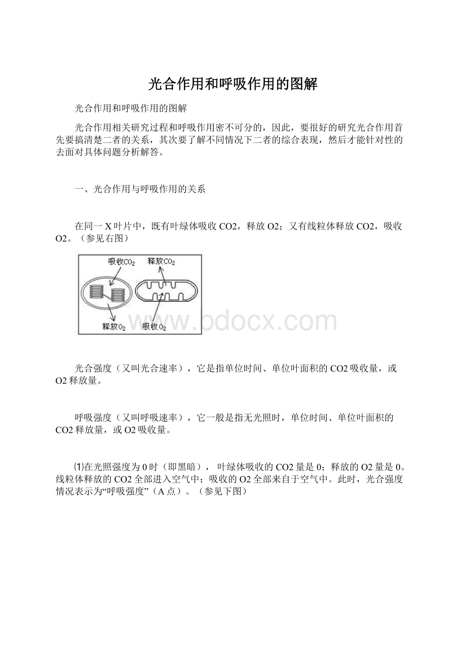 光合作用和呼吸作用的图解Word文档下载推荐.docx_第1页