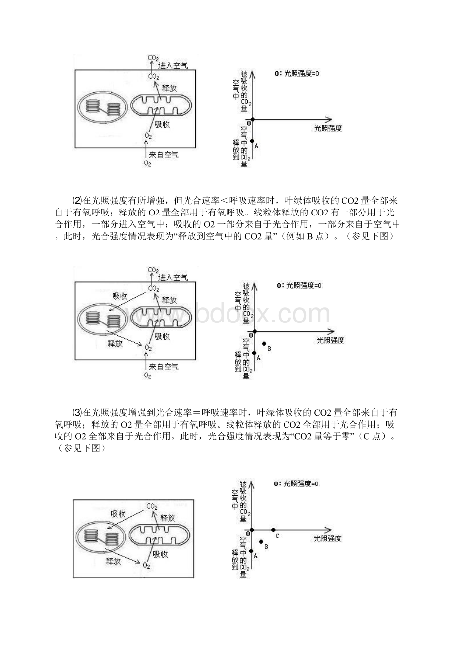 光合作用和呼吸作用的图解Word文档下载推荐.docx_第2页