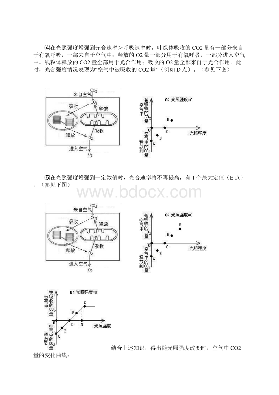 光合作用和呼吸作用的图解Word文档下载推荐.docx_第3页