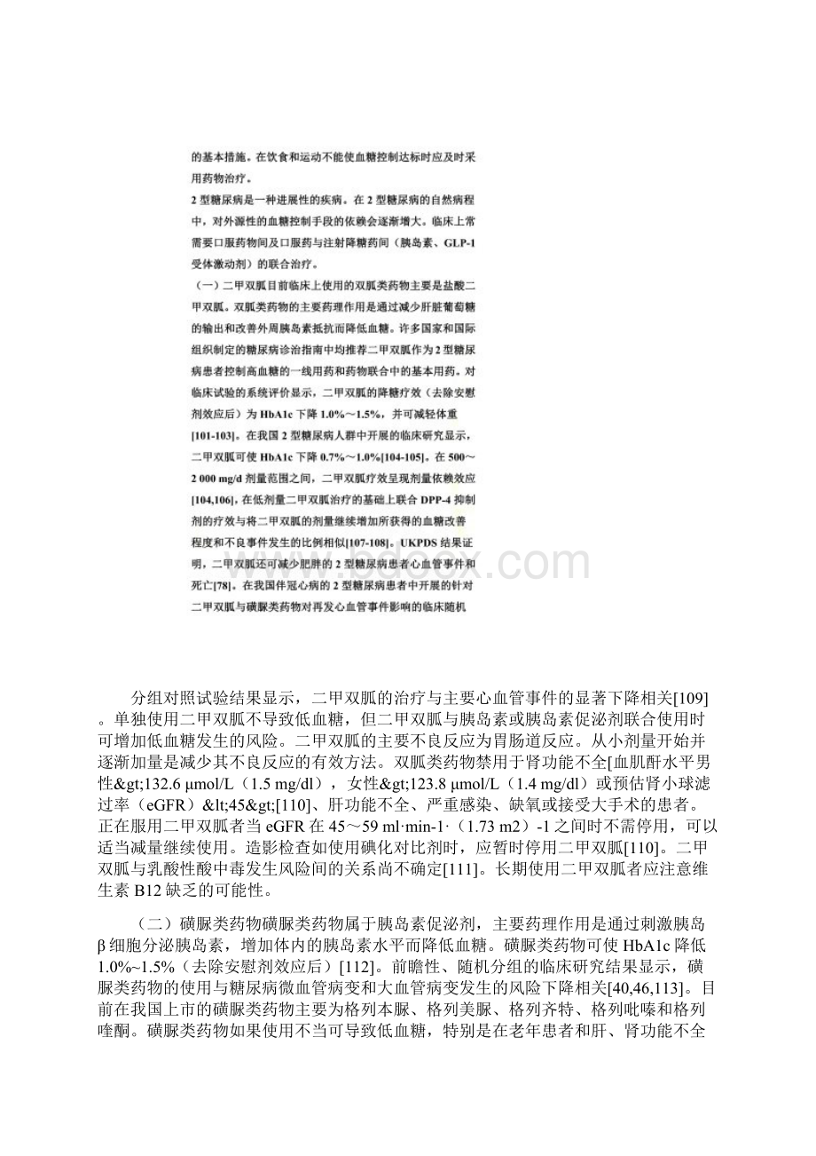 中国2型糖尿病防治指南版四Word下载.docx_第2页