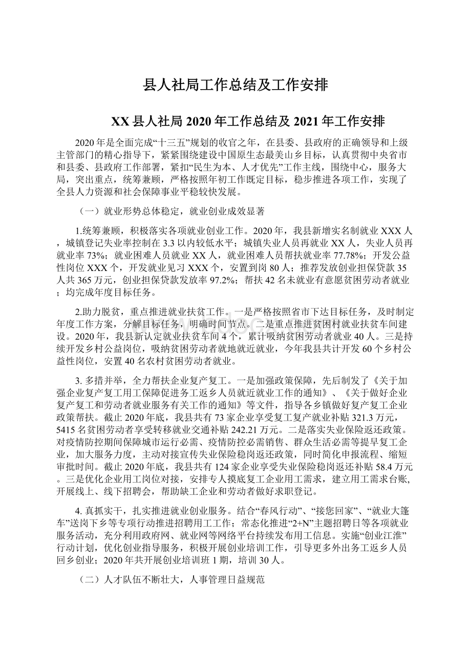 县人社局工作总结及工作安排.docx