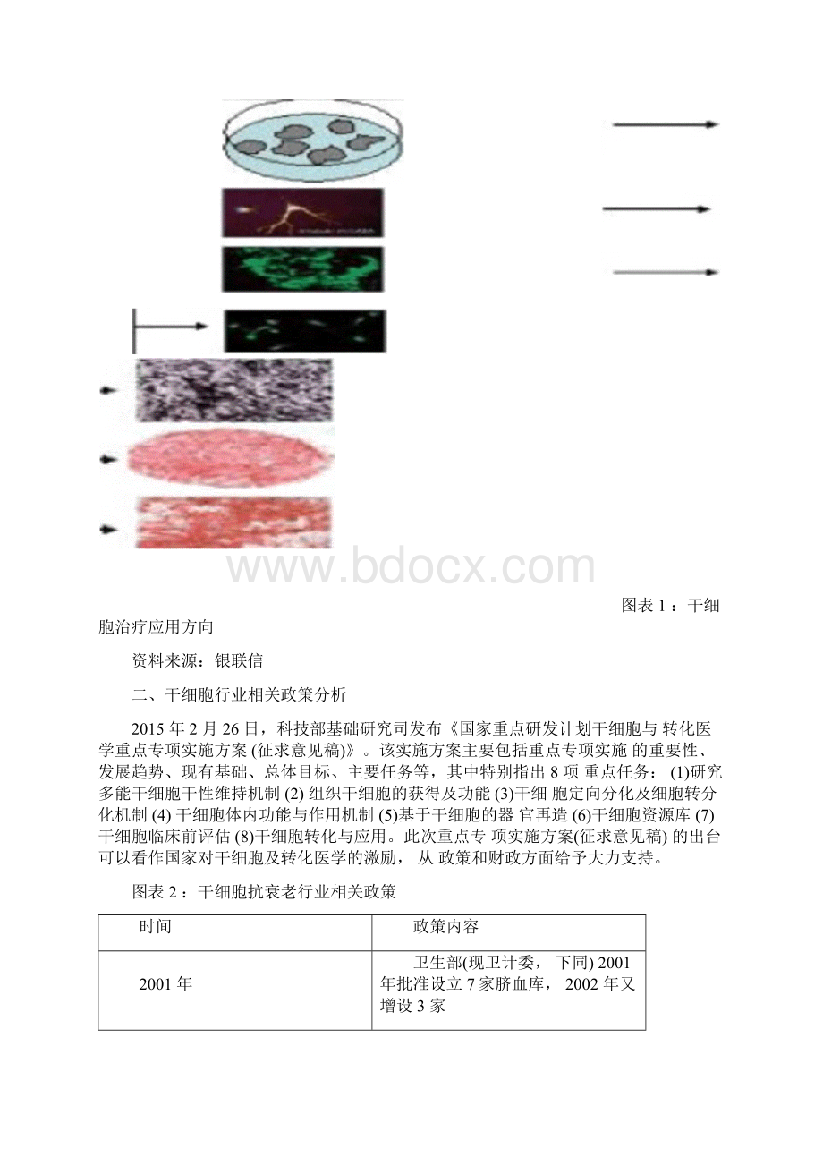 干细胞抗衰老行业现状分析报告.docx_第3页