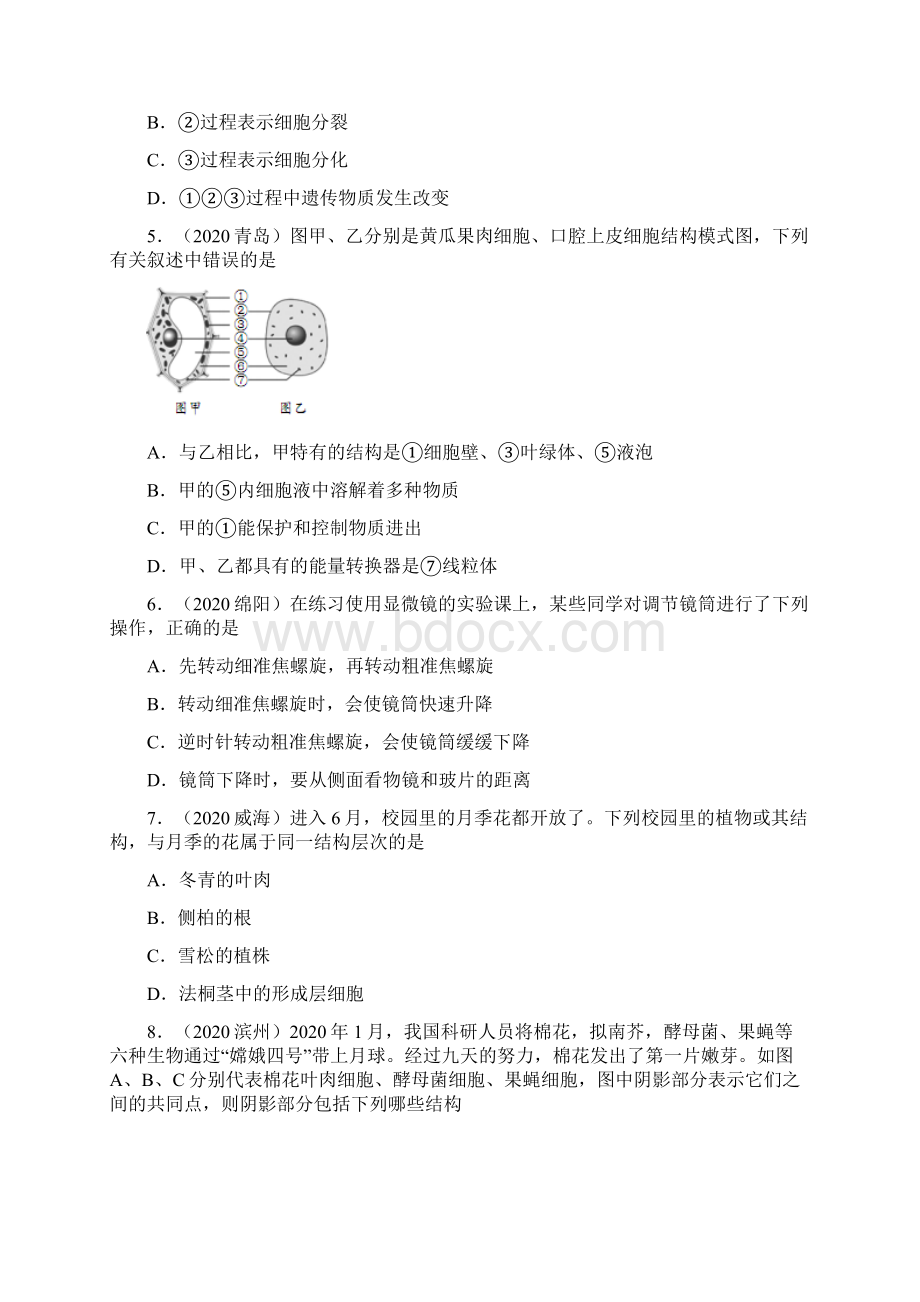 中考生物试题汇编分类生物体的结构层次专题word版可修改含答案文档格式.docx_第2页