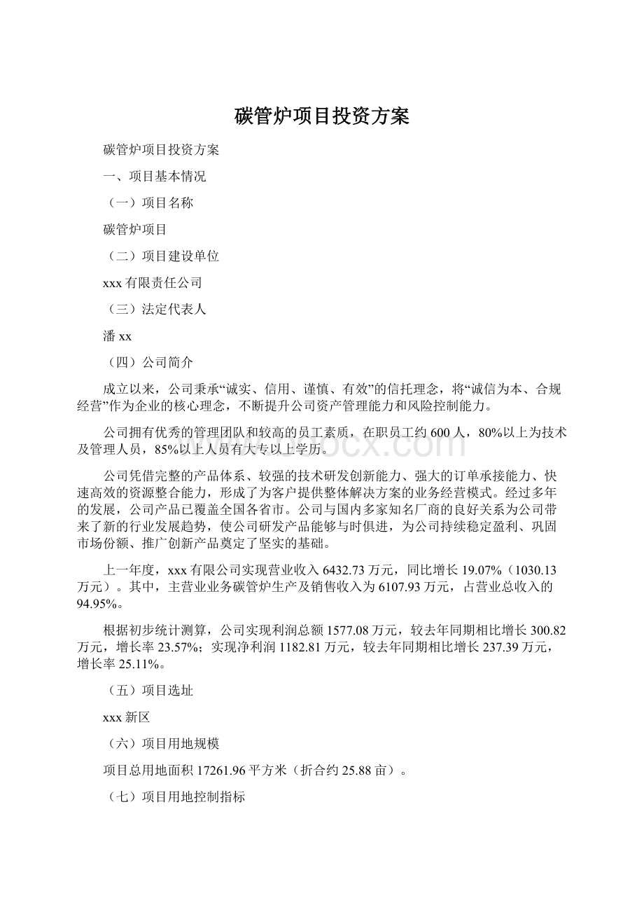 碳管炉项目投资方案.docx