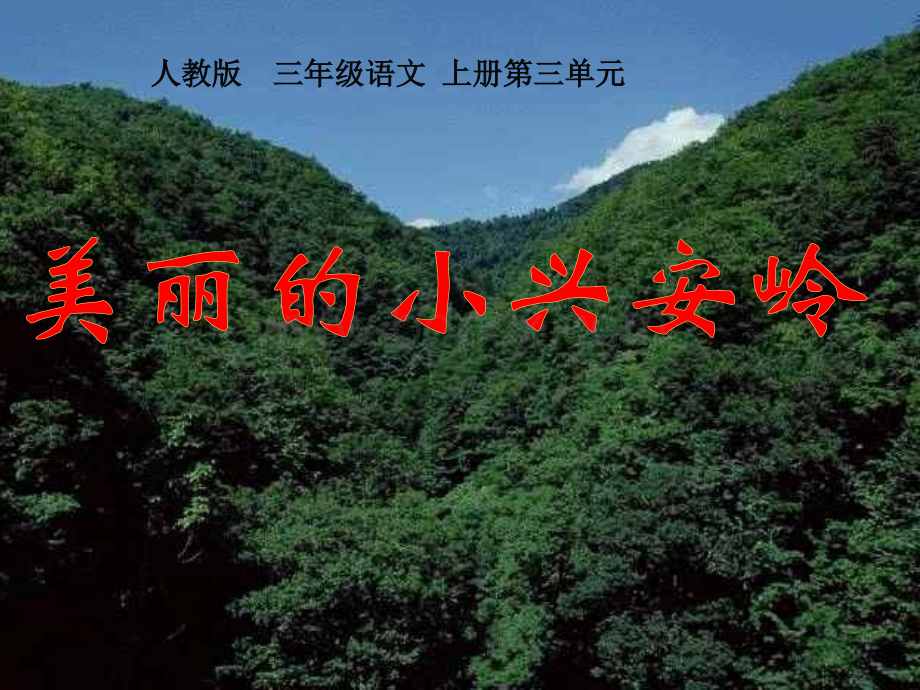 美丽的小兴安岭课件PPT.ppt_第1页