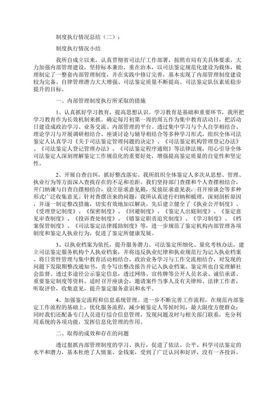 制度执行情况总结10篇文档格式.docx_第2页